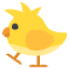 :baby_chick: